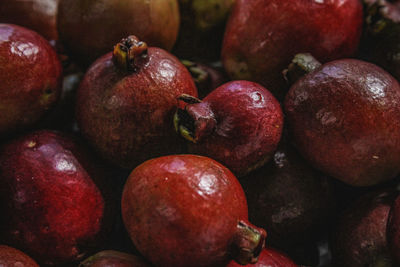 Close-up of apples