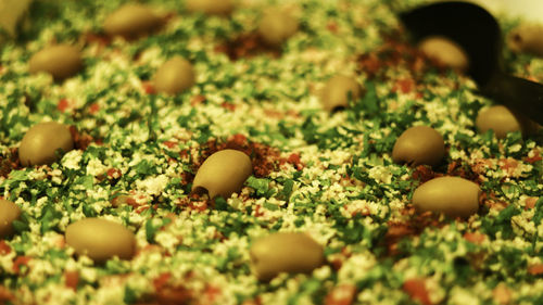 Close-up of olives cheese and spices 