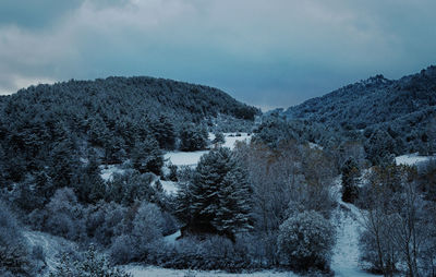 Trees on hills against cloudy sky during winter