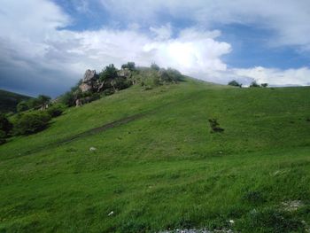 Scenic view of grassy field against sky