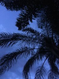 Low angle view of palm tree against sky