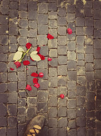 Low section of person with red flowers