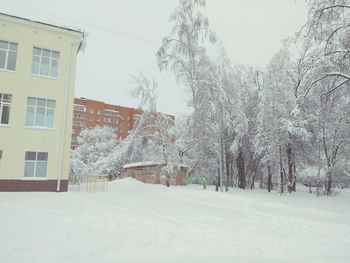 Snow covered trees by buildings against sky