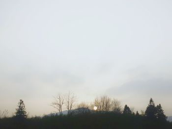 Low angle view of bare trees against sky