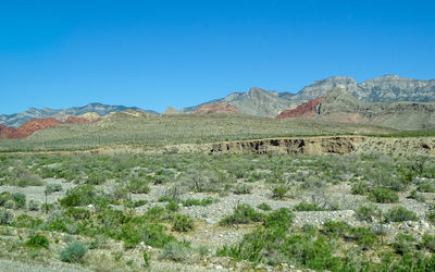 Scenic view of desert against clear blue sky