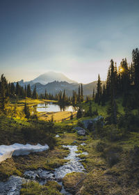 Tipsoo lake on sunset with a reflection of mt. rainier, washington