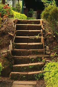 Staircase by building