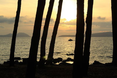 Silhouette trees on beach against sky during sunset