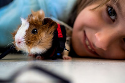 Portrait cute child with his funny pet guinea pig