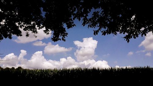 Panoramic view of trees on field against sky