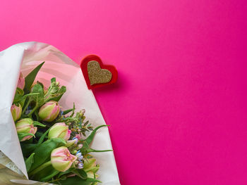 High angle view of pink rose on wall