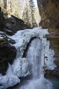 View of waterfall in forest