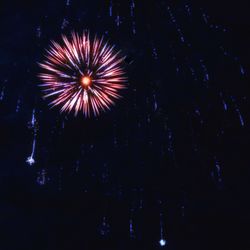 Low angle view of firework display against sky at night