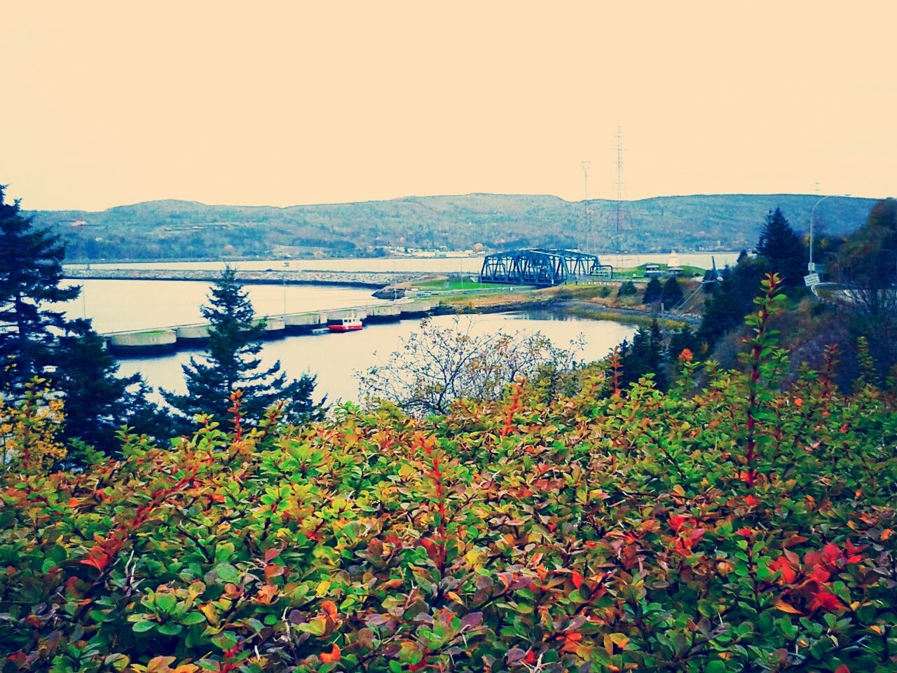 Cape Breton Island