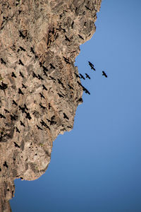 Low angle view of birds flying by rock formation against clear blue sky