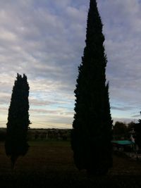 Trees on field against sky