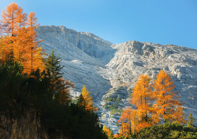 Scenic view of mountains against clear sky during autumn