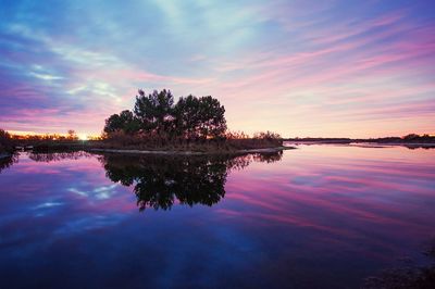 Reflection of trees in calm lake