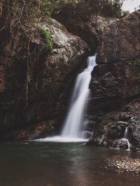 Scenic view of waterfall in forest