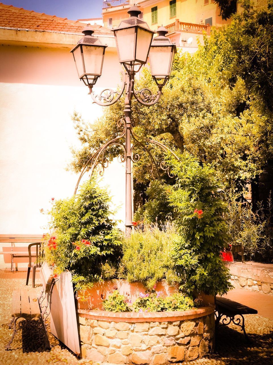 STREET LIGHT AND POTTED PLANTS ON BUILDING