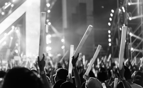 Crowd enjoying at music concert