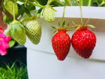 Close-up of strawberries