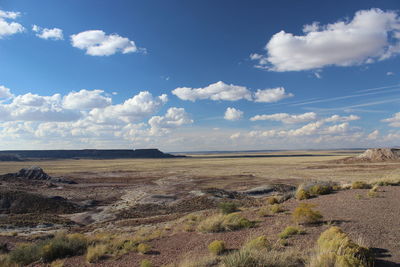 Scenic view of field against cloudy sky