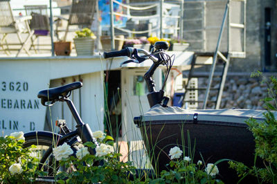 View of plants in front of building