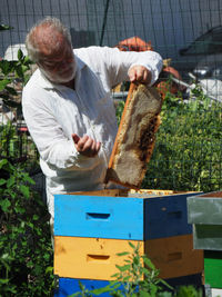 Rear view of man working at farm