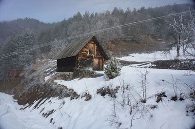 Snow covered trees and houses in forest during winter