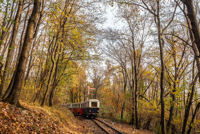 Railroad tracks amidst trees during autumn