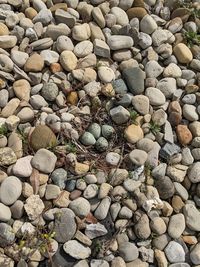 High angle view of stones on pebbles