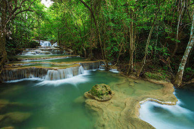 Scenic view of waterfall in forest