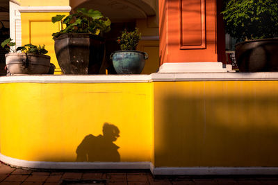 Men sitting on potted plant against window