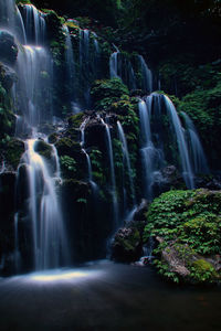 Scenic view of waterfall in forest