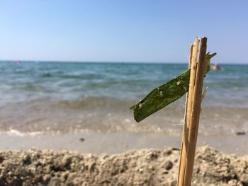 Close-up of sea against clear blue sky