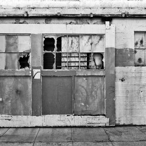 Bird perching on brick wall