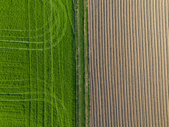 Full frame shot of abstract pattern