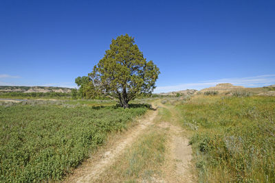 Old wagon road in the prairie in theodore roosevelt national park in north dakota