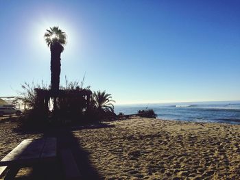 Palm trees on beach against clear sky