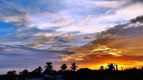 Low angle view of silhouette trees against sky