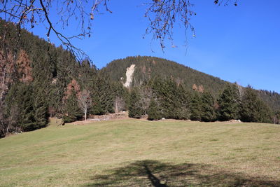 Scenic view of landscape against clear blue sky