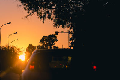 Silhouette trees against clear sky during sunset