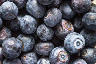 Full frame shot of huckleberries