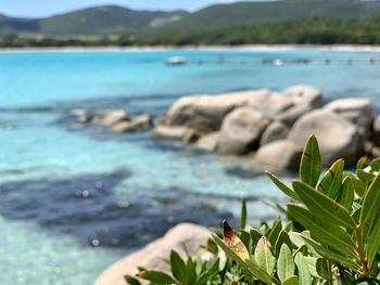Scenic view of sea and rocks