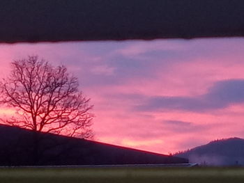 Silhouette trees on field against sky during sunset