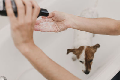 Cropped image of person taking shampoo in hand with dog in bathtub