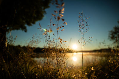 Scenic view of lake at sunset