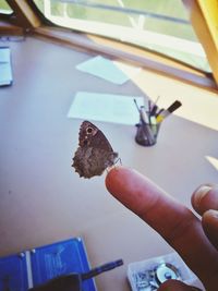 Close-up of hand holding umbrella