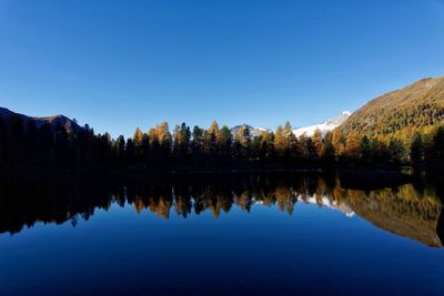 Scenic view of lake by trees against clear blue sky